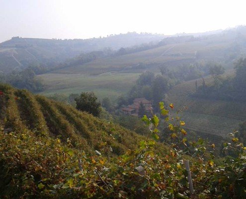 Autunno nei poderi Principiano