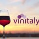 Vinitaly, logo e sfondo